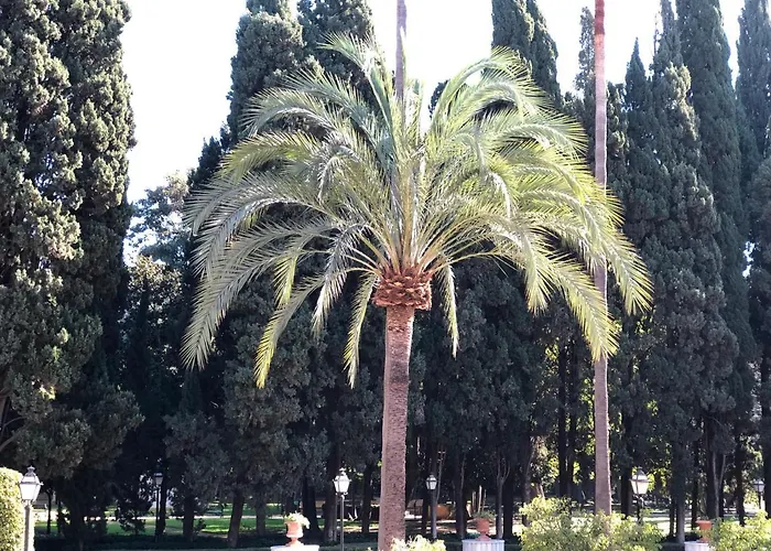 Front Apartment-1st Line Appartamento Marbella